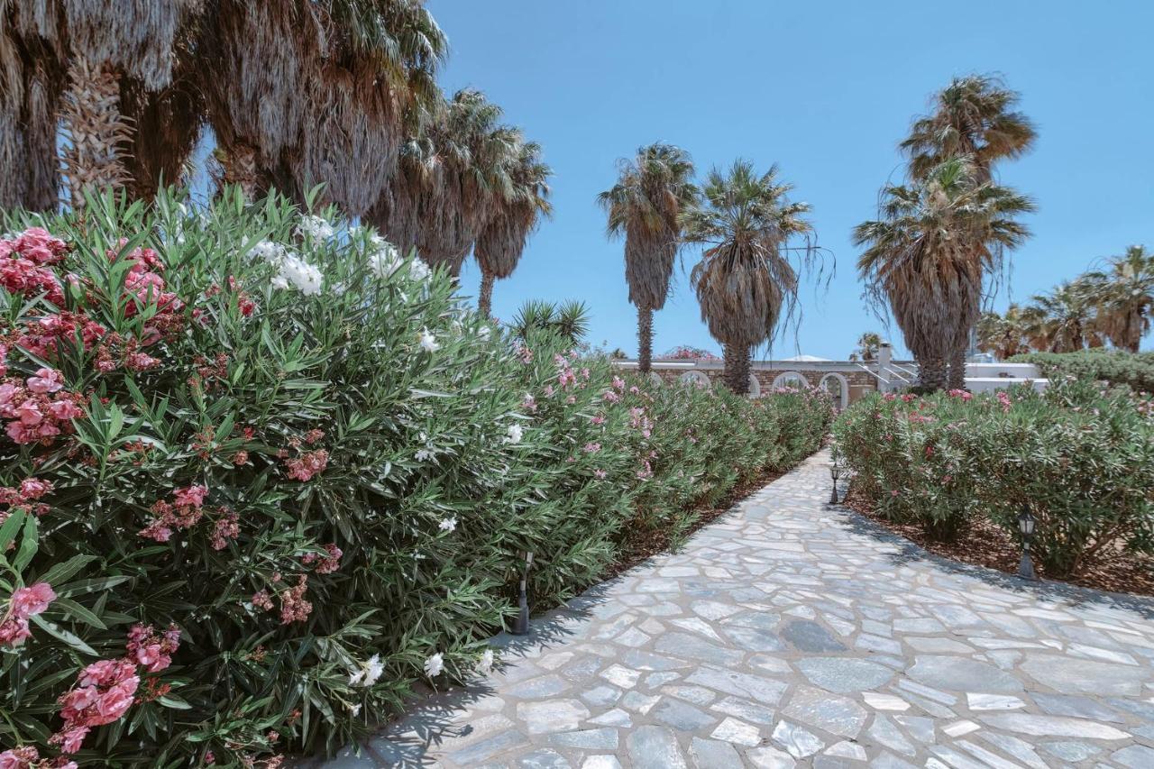 Palm Heaven Boutique Apartments Antiparos Town Exteriér fotografie