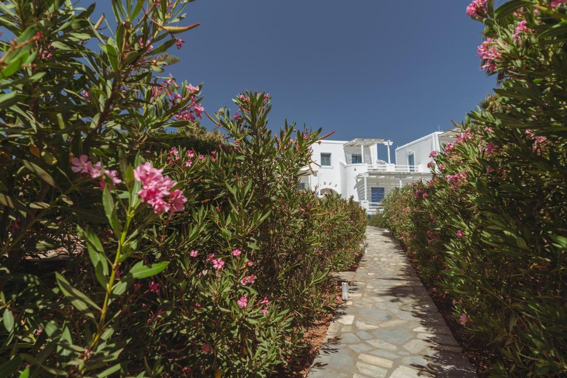 Palm Heaven Boutique Apartments Antiparos Town Exteriér fotografie